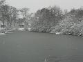 Snow, Blackheath P1070111